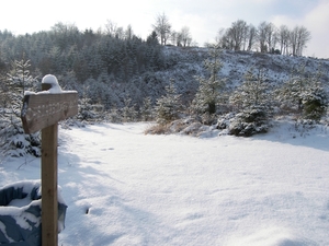 101_0565  ardennen