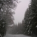 101_0597    ardennen