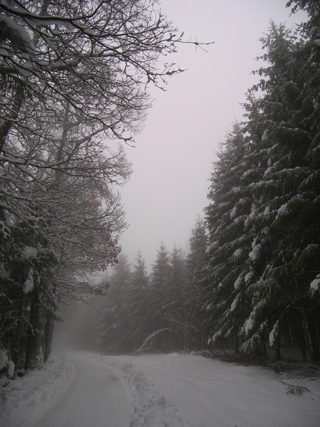 101_0597    ardennen