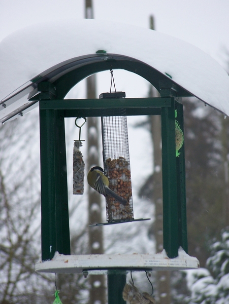 102_3221   voederhuisje