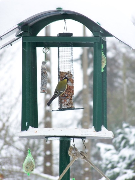 102_3222  voederhuisje