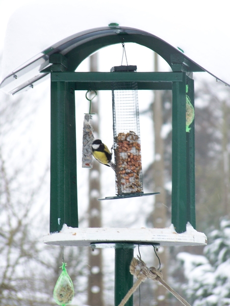 102_3223  voederhuisje