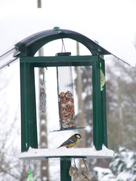 102_3224  voederhuisje