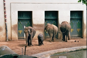 ZOO