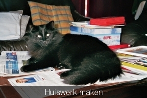 Ketje helpt Keanu met huiswerk