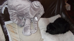 Kerst 2010