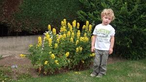 Quinten op bezoek
