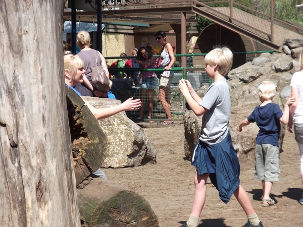 DE OLMENSE ZOO