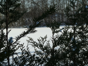 winter