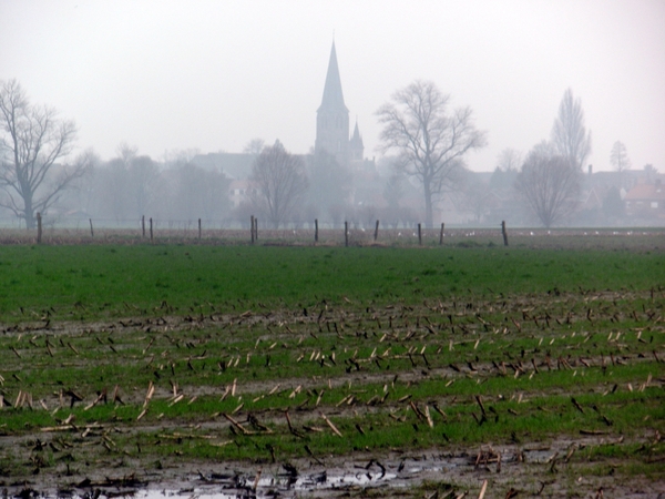 de kerk van Ruiselede in de verte..