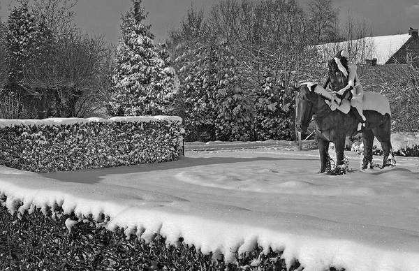 palieter van bertro IN BL