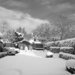 tuin
