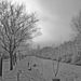 KLEINE NETE