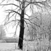 BRUG ACHTER PARK