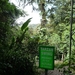 15 Monteverde, Selvatura park, hangbruggen _P1070731