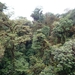 15 Monteverde, Selvatura park, hangbruggen _P1070733