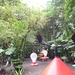 18 Monteverde, Selvatura park, Kolibrie tuin _P1070783