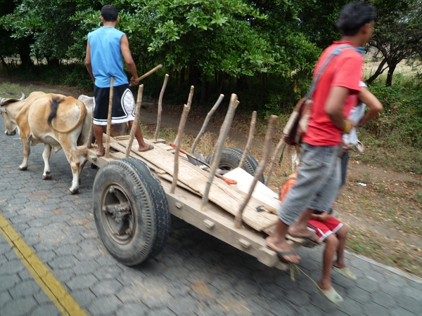 Ometepe, ox hamper