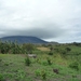 22 Ometepe _P1070981 _natuurgebied ‘Ojo de Agua’