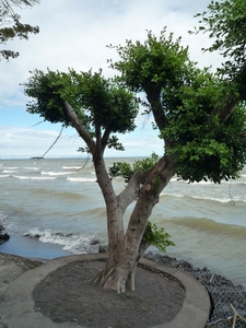 22 Ometepe _P1070989 _Playa Santa Domingo