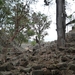 44 Copan Maya ruines _P1080587