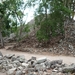 44 Copan Maya ruines _P1080590
