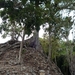 44 Copan Maya ruines _P1080605