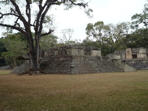 44 Copan Maya ruines _P1080609