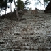 44 Copan Maya ruines _P1080614