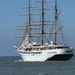 SeacloudII 3