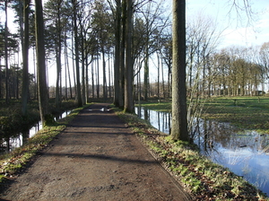 De Pinte januari 2011 001