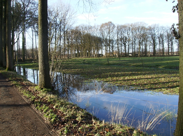 De Pinte januari 2011 002