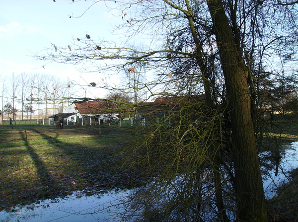 De Pinte januari 2011 004