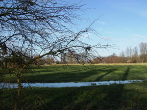 De Pinte januari 2011 005