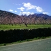 Canigou in de lente 2010