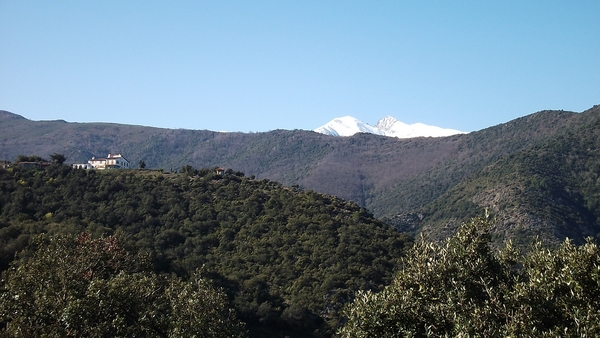 canigou