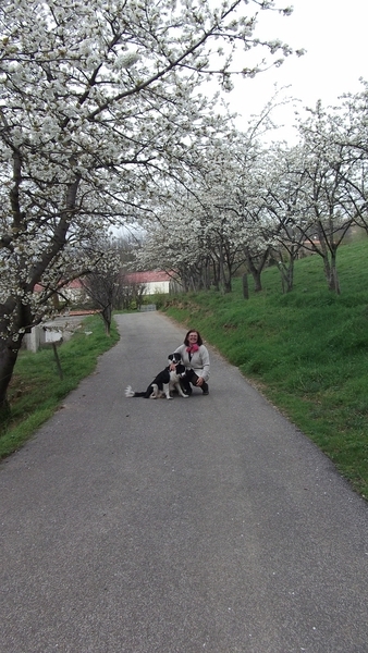 GLORIANES OP WANDEL