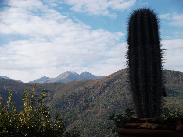 canigou