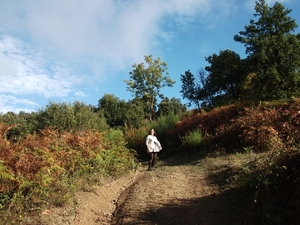 Op wandel