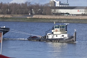 IMG_8515 (Kopiëren)