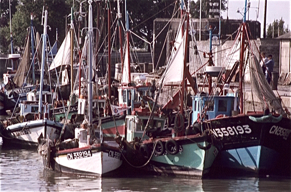 Honfleur