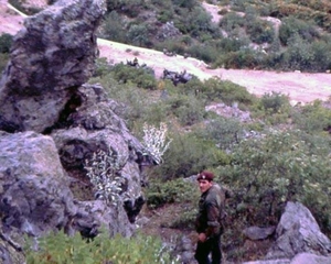 Corsica