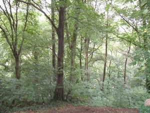 Bezoek Dinant