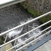 Bezoek Dinant