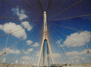 Yangpu bridge