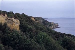 Normandi