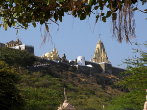 TEMPELSTAD PALITANA