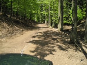 Eifel 7