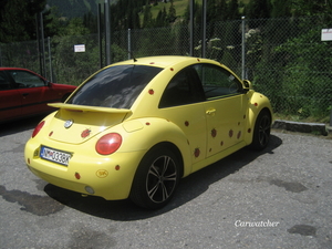 Yellow Beetle