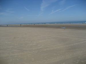 De Panne (1)